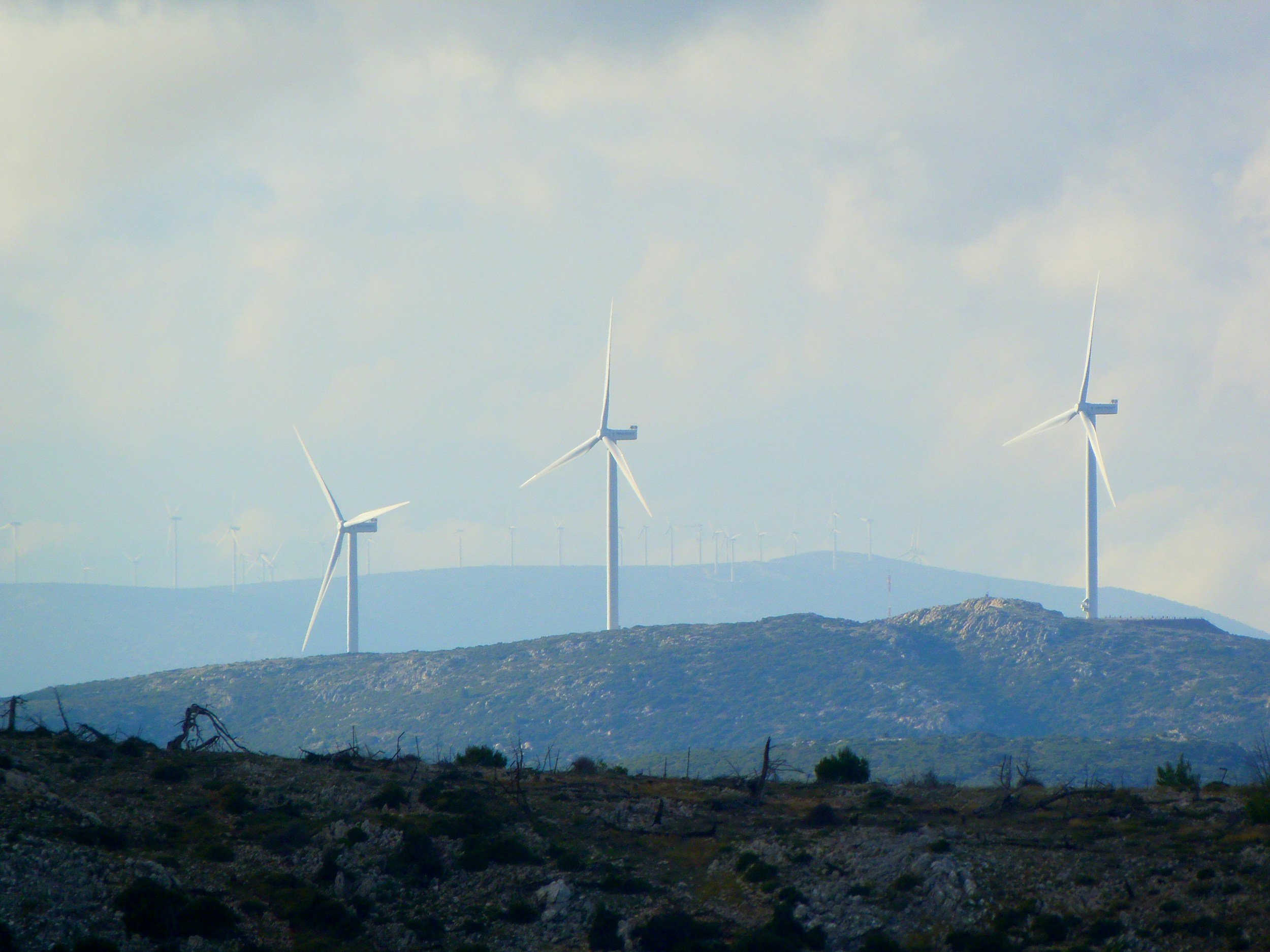 The risks associated with ESG strategies